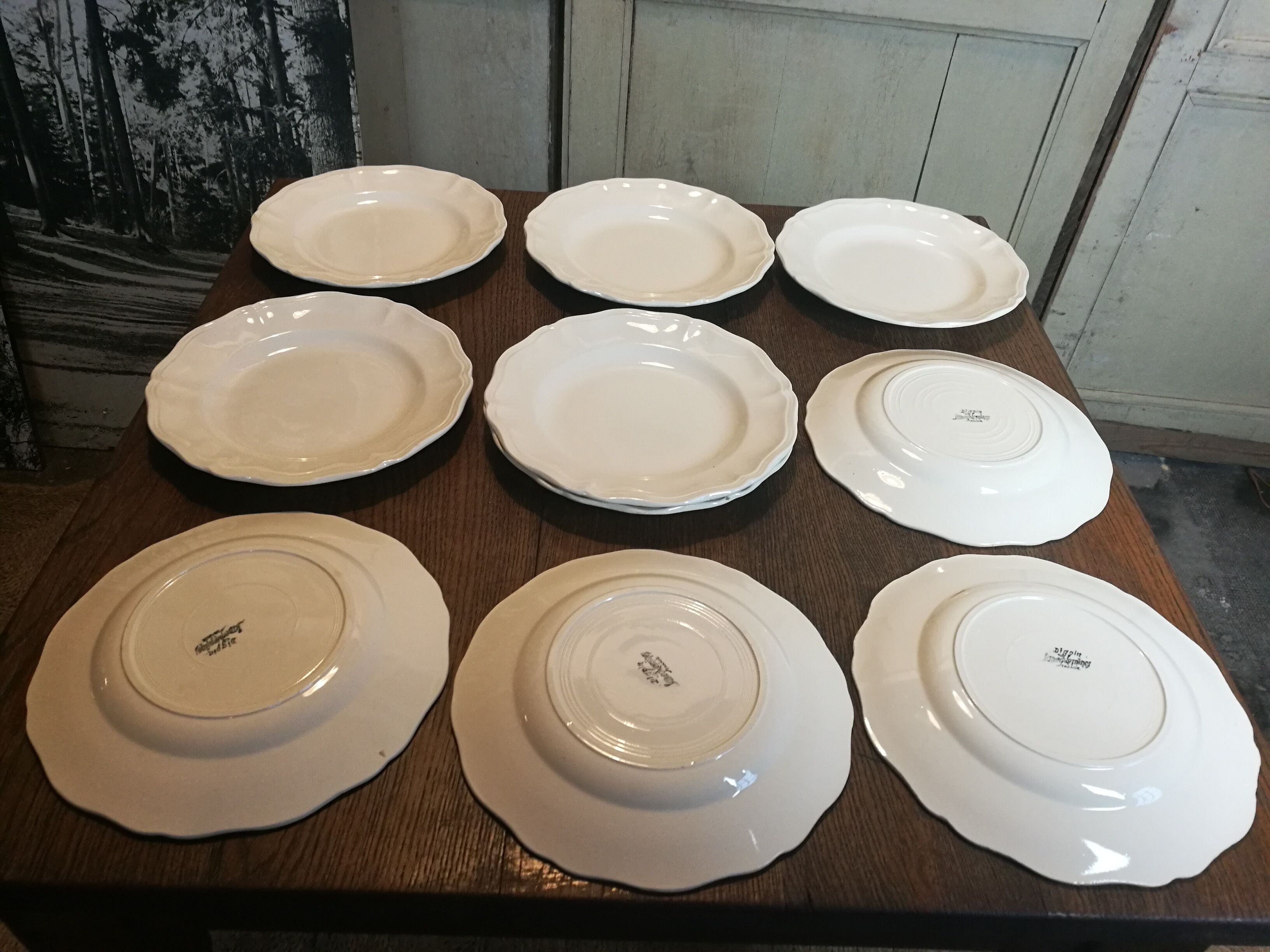 Service 10 plates Sarreguemines