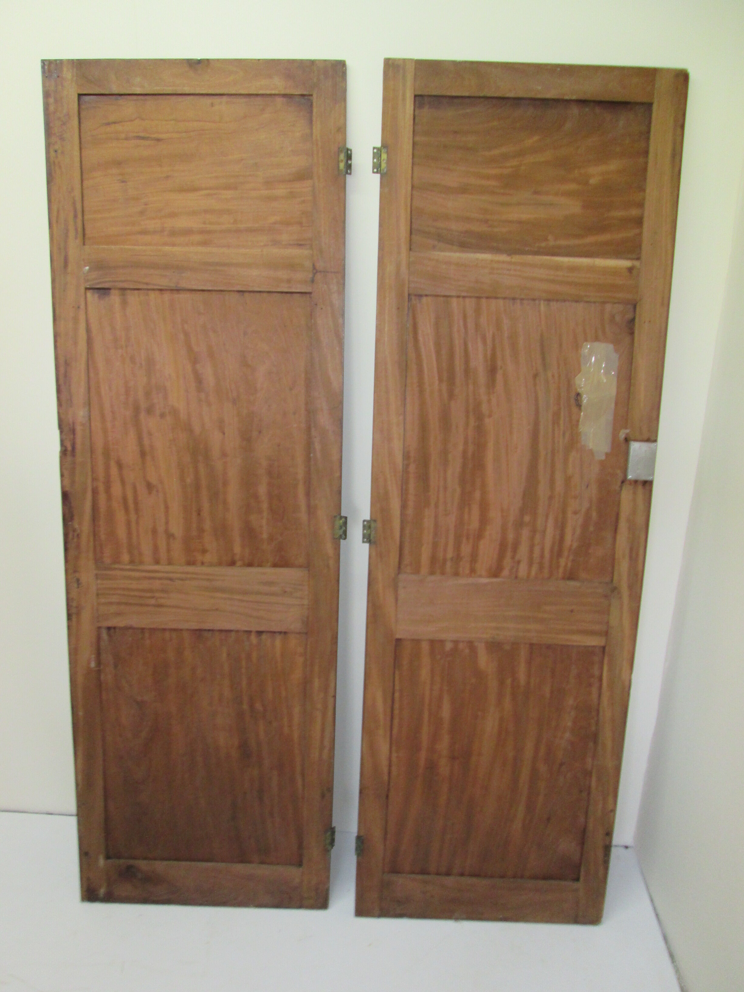 Pair of mahogany doors