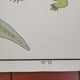 Pedagogical poster
