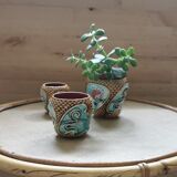 Vases plants in ancient dabbling