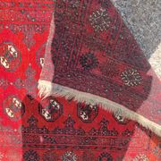 Tapis afghan, moyenne taille