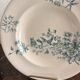 Lot 6 Deep Plates Faience Longwy Model Mignon