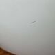 Lampe Murale Vintage Minimaliste Danoise Type 549 de Horn