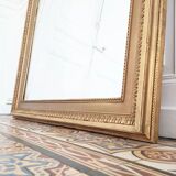 Napoleon III mirror decorated with birds