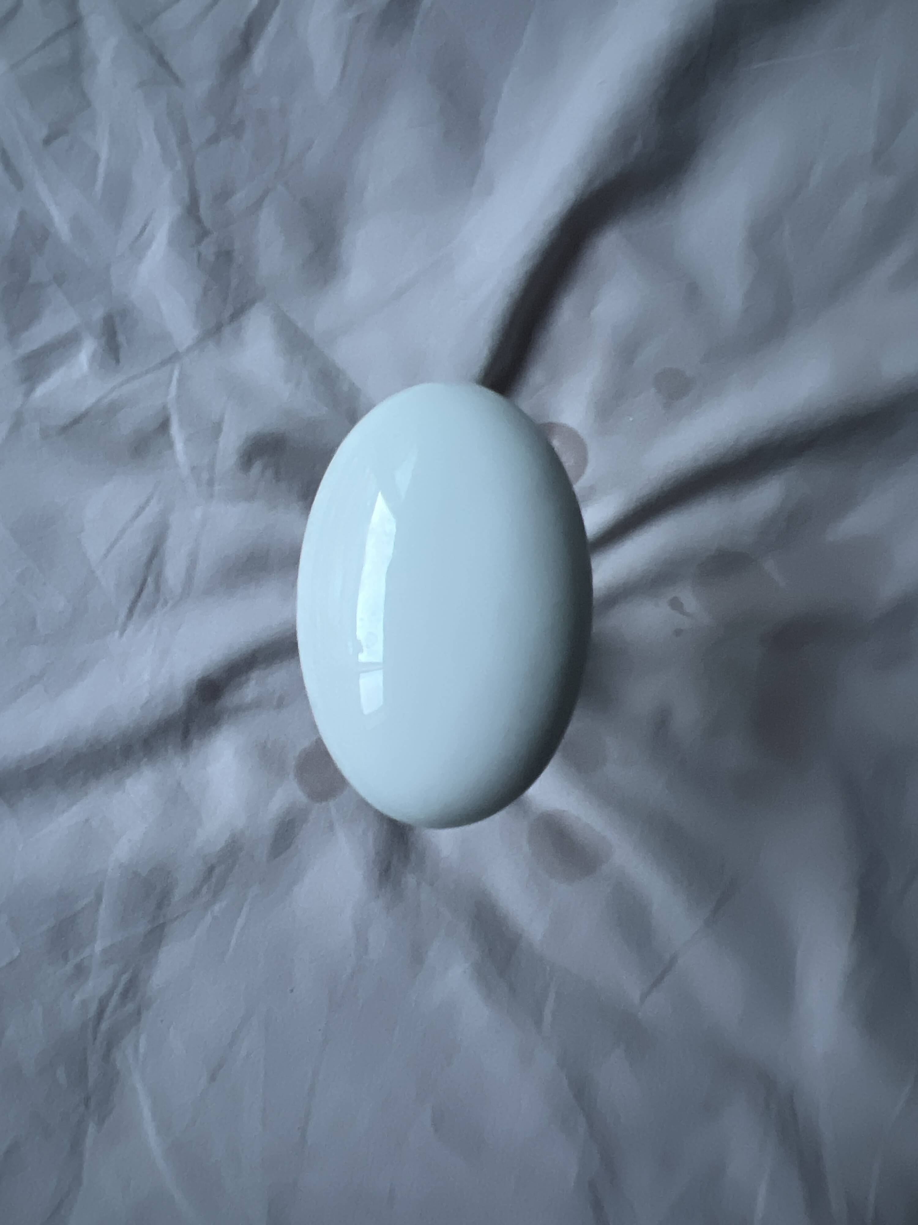 Boutons de portes en porcelaine de limoge (paire)