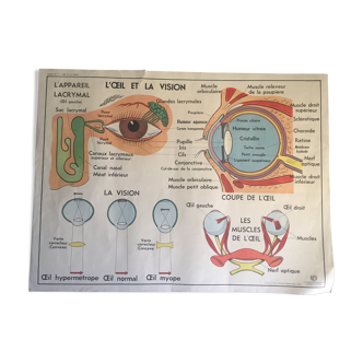 Vintage science school poster