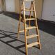 Montana France painter's stepladder