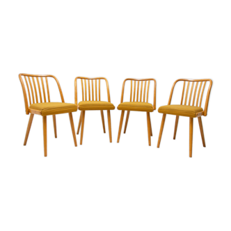 Chaises à manger du milieu du siècle conçues par J.Kobylka, années 1960