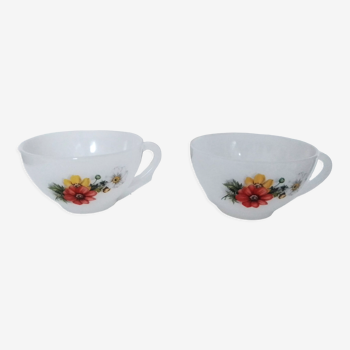 Set of 2 vintage Arcopal cups with country pattern