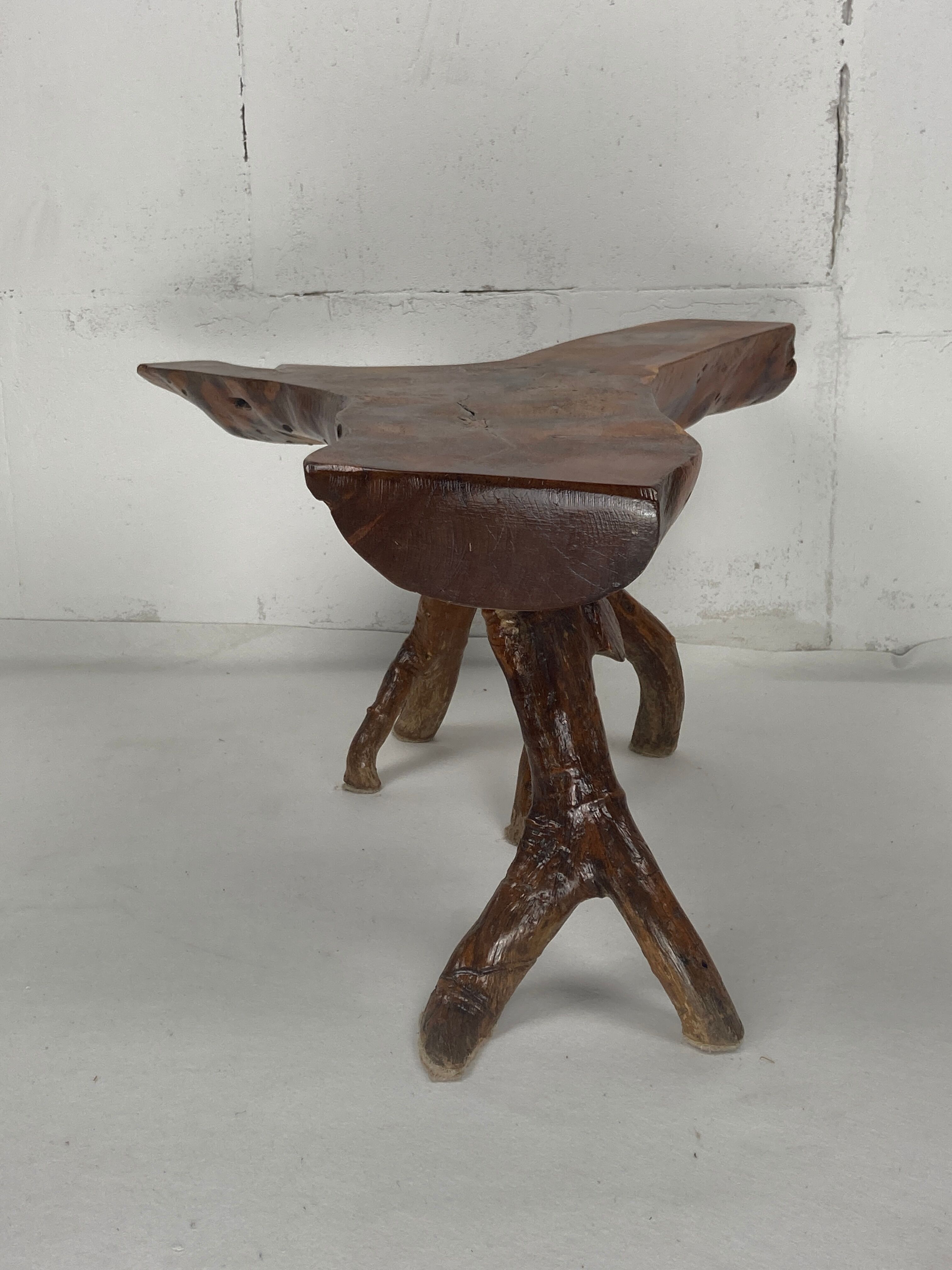 Wabia sabi rustic tree branch side table, Dutch 1960s