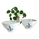 Lot de 2 bols bretons Pornic, fleur de lys
