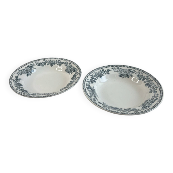 2 assiettes creuses en terre de fer Sarreguemines Digoin Guadeloupe