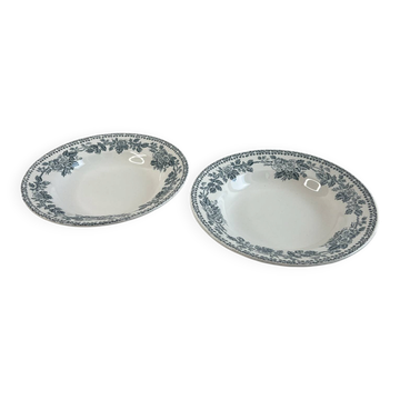 2 assiettes creuses en terre de fer Sarreguemines Digoin Guadeloupe
