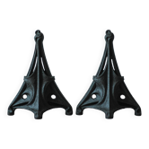 Art Nouveau pair of andirons in cast iron in the style of Hector Guimard, decor.