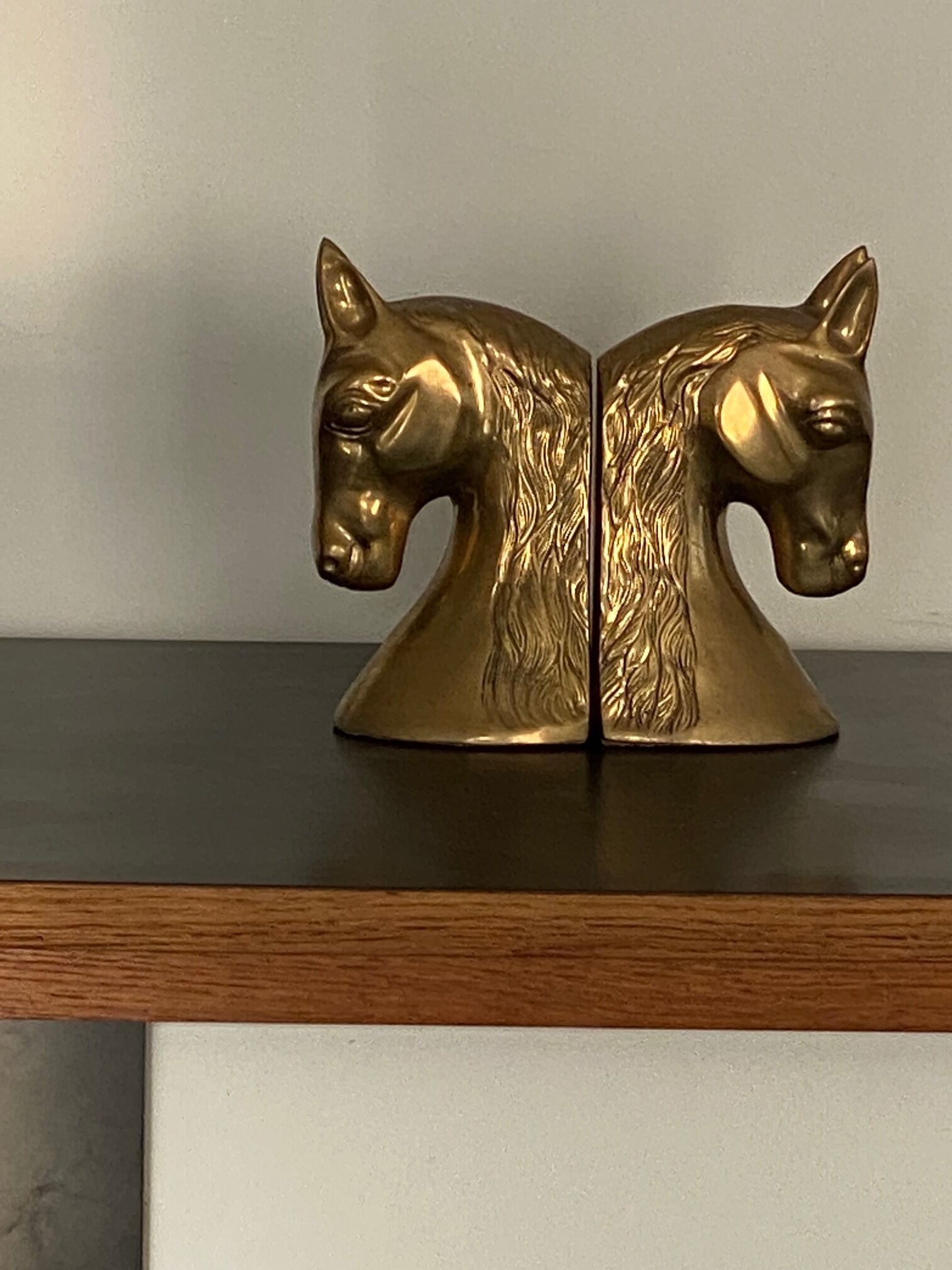 Greenhouse Book Horse