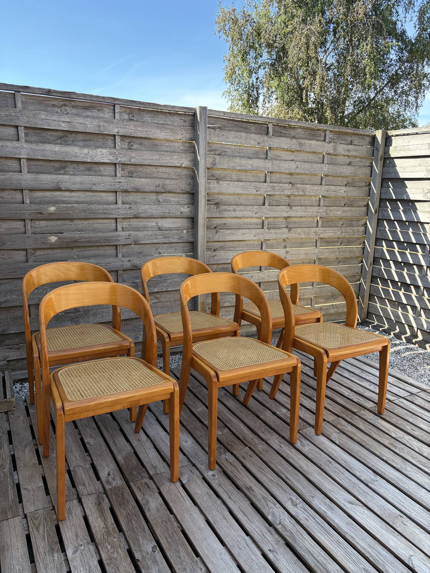 Set of 6 caned chairs by Baumann, gondola model.
