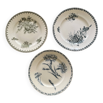 Mismatched ironstone flat plates