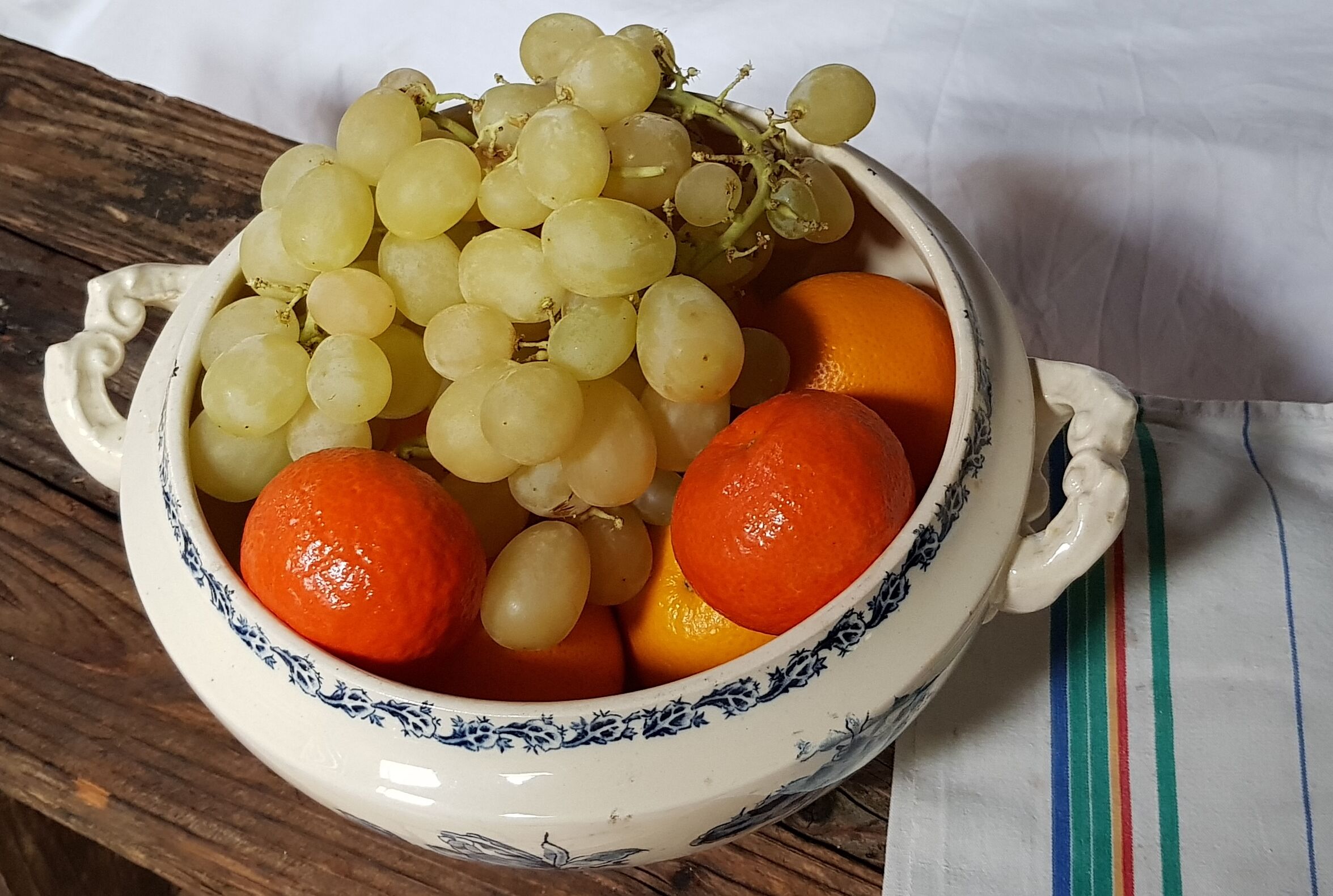 Degien opaque porcelain soup