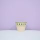 vintage beige flowerpot green polka dots