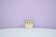 vintage beige flowerpot green polka dots