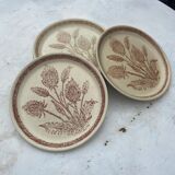 Vintage plates