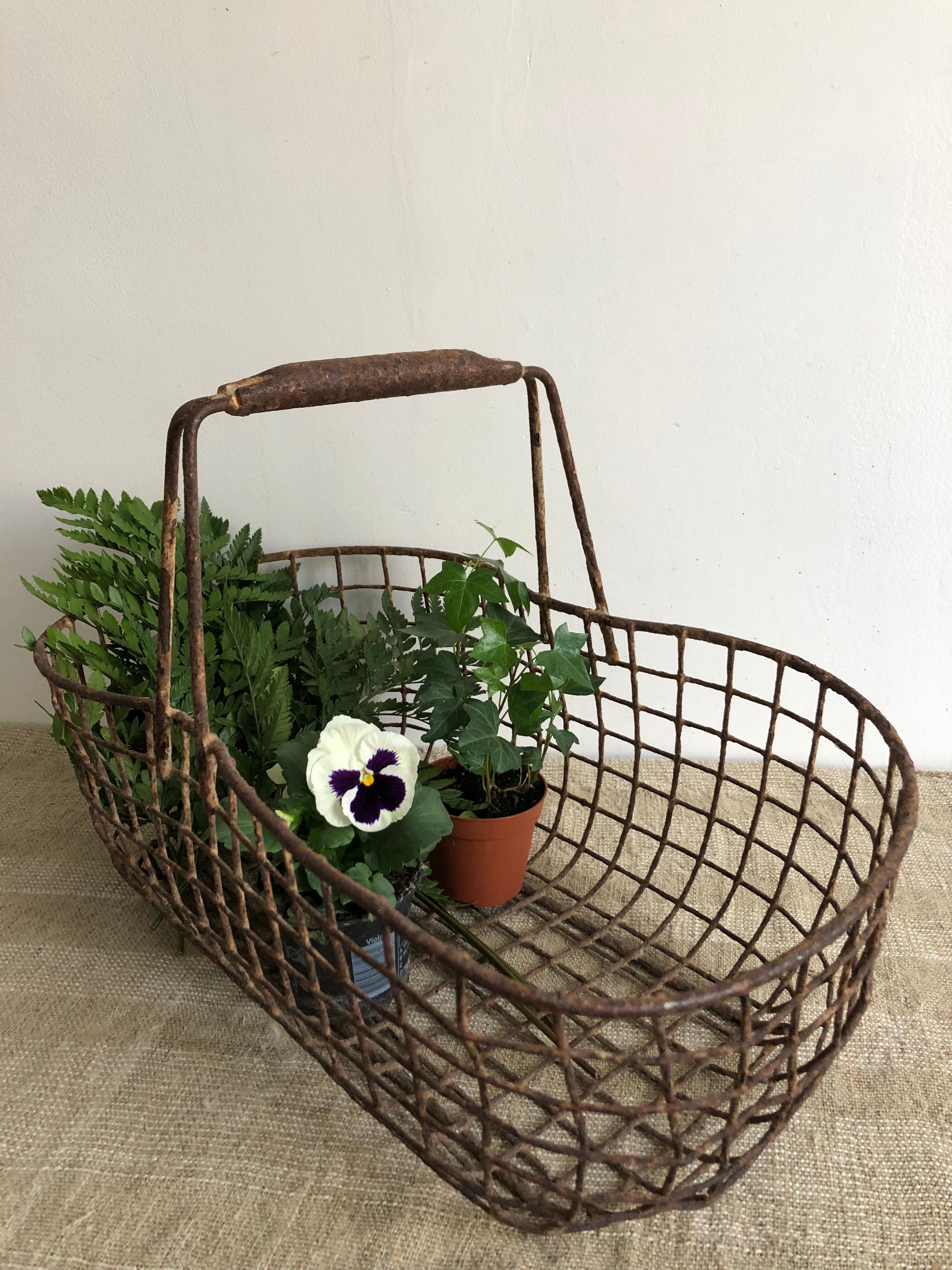 Garden mesh basket