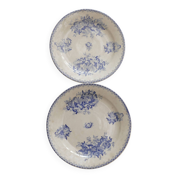 Iron earth dishes