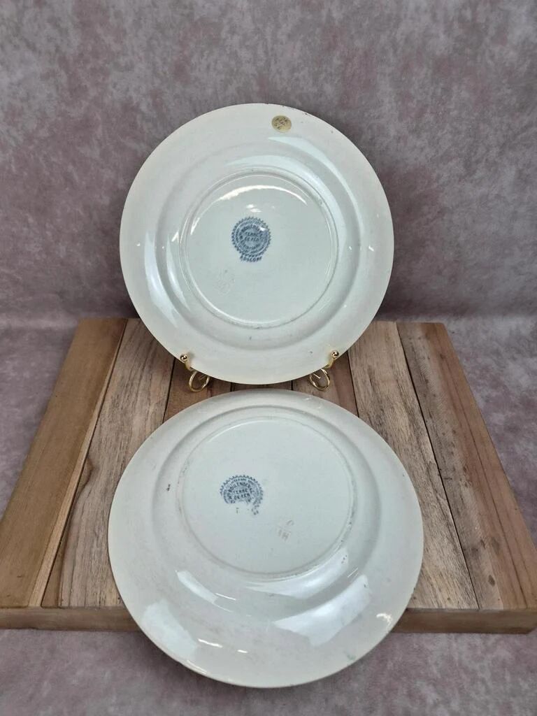 Set of 2 antique flat plates Terre de Fer – Hippolyte Boulenger & Cie – Roscoff model