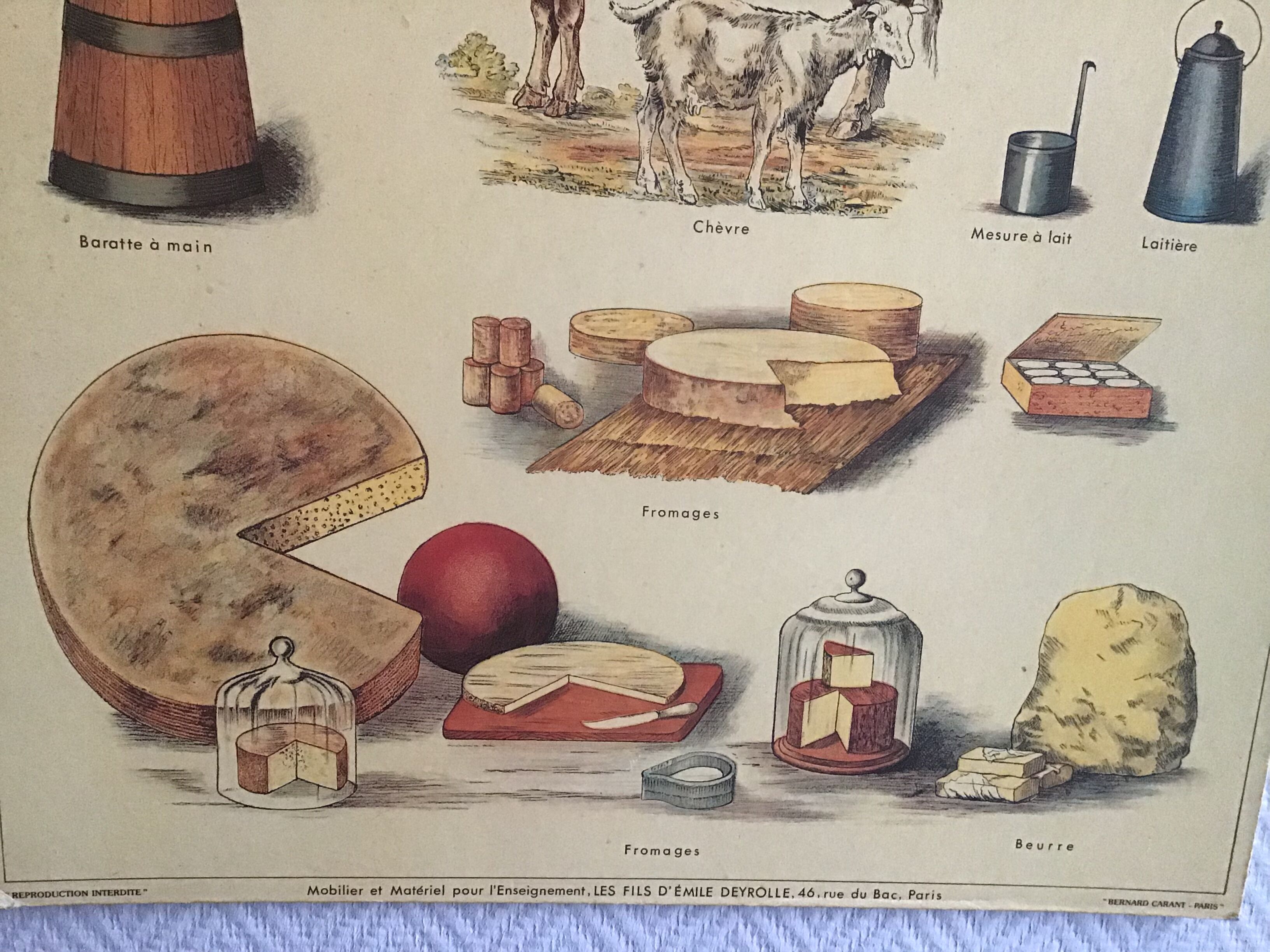 Educational poster milk, 80s