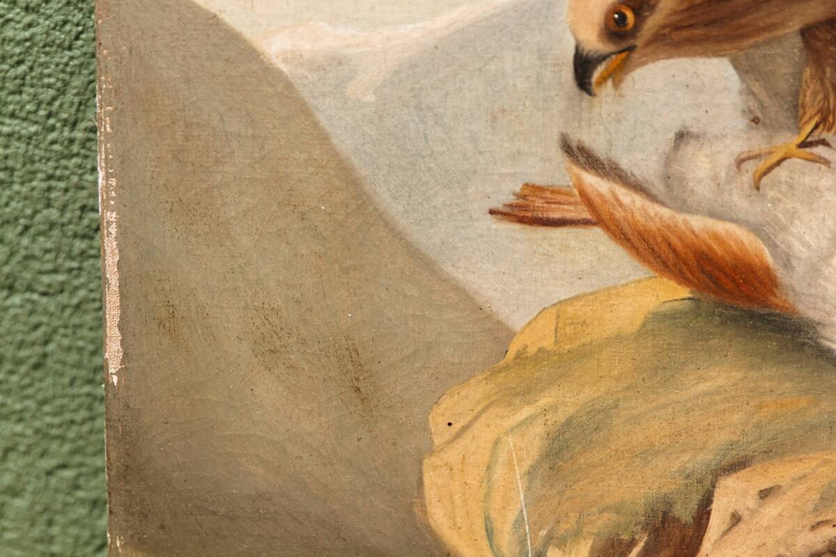 Oil on canvas, eagle and its prey, 19th century