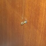 2-door teak cabinet with 50s key