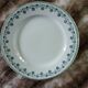 10 antique flat plates in ironstone