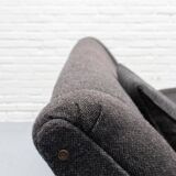 D70 Daybed Sofa by Osvaldo Borsani for Tecno 1950s