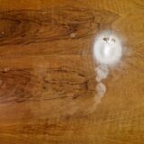 Bridge table from the 1950s