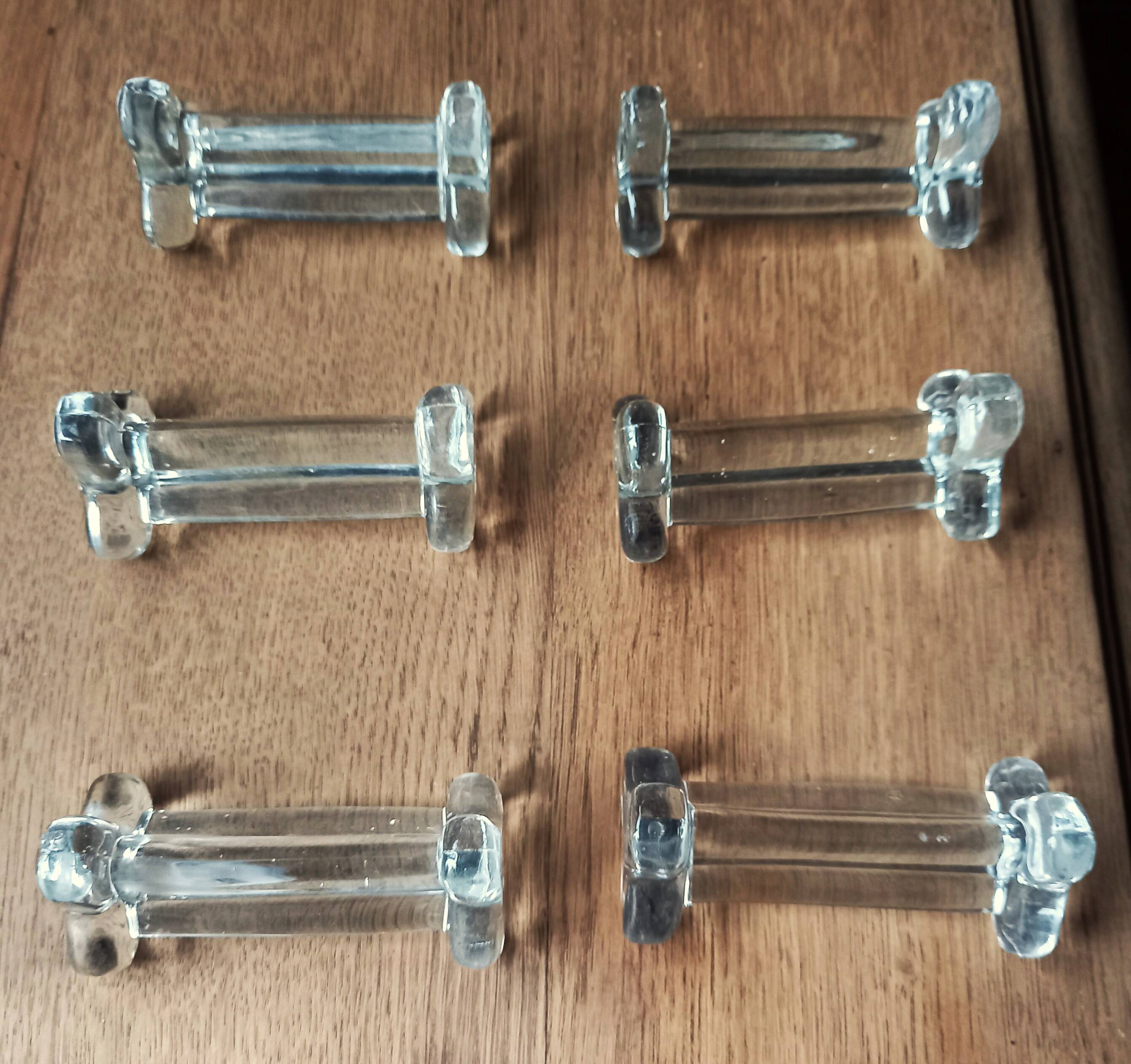 A set of 6 transparent trilobite glass knife rests.