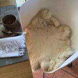 Peau de lapin blanche