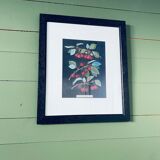 Framed lithograph of cherries