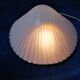 Lampe coquille Saint Jacques en fibre de verre design Michèle Mahé, des années 60