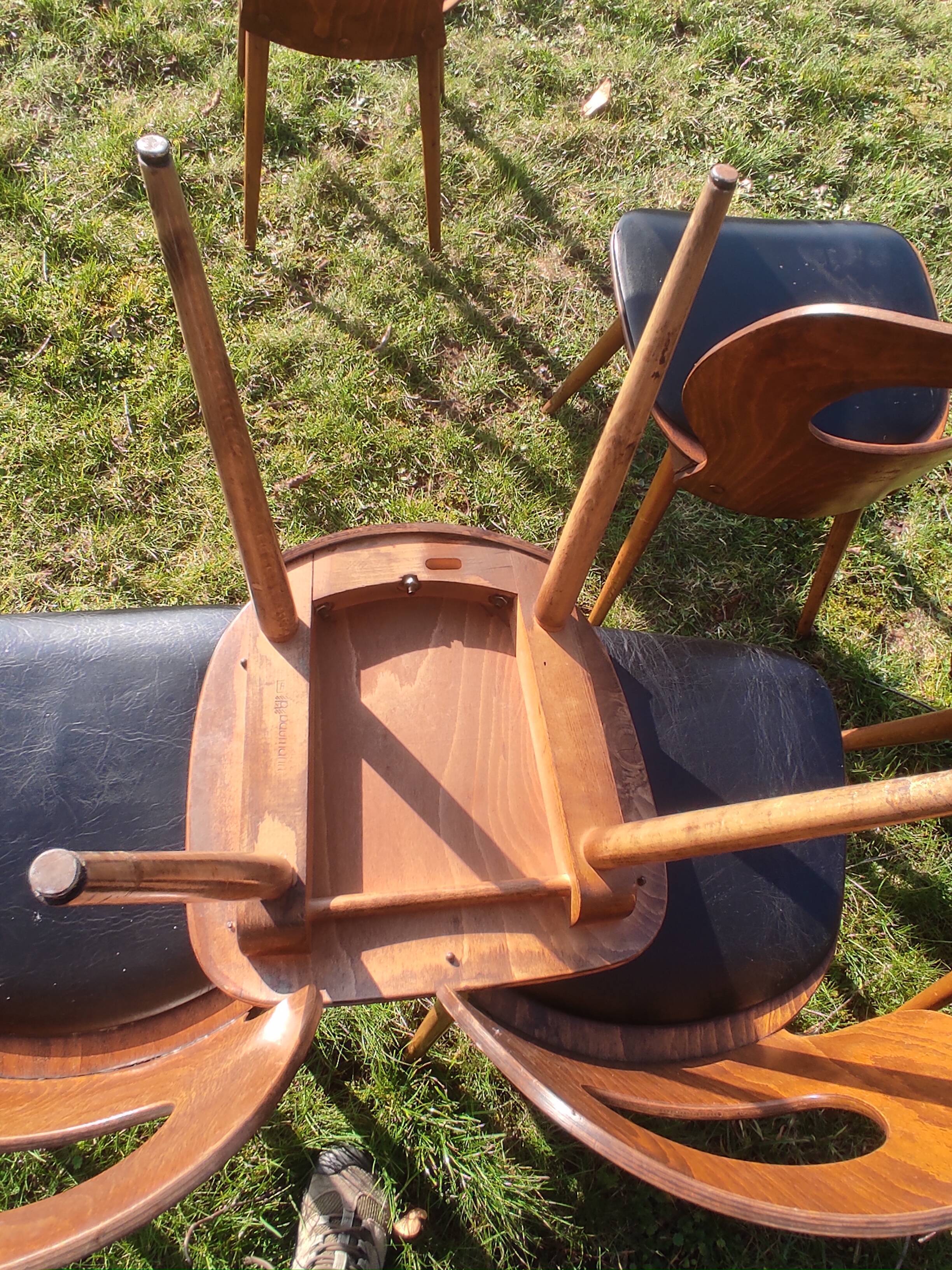 Baumann X6 chairs, Ant model