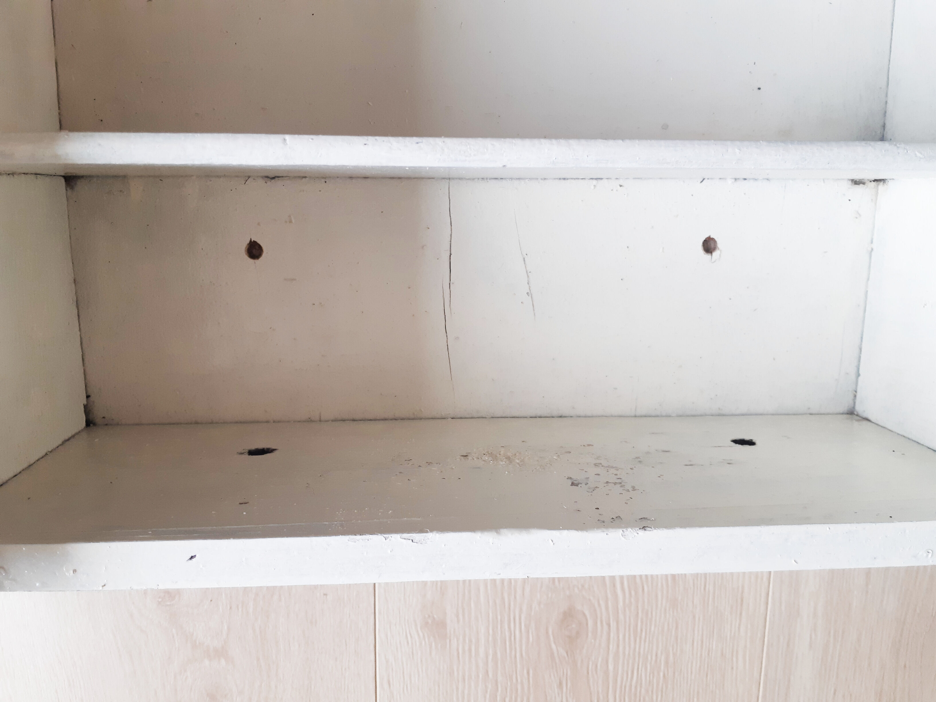 Toilet or medicine cabinet, with towel rail, with mirror