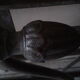 Louis XVI wrought iron bed