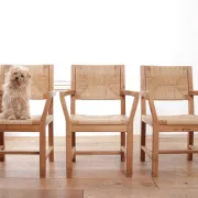 Ensemble de quatre chaises de salle à manger danoises modernes du milieu du siècle en papercord et pin massif.