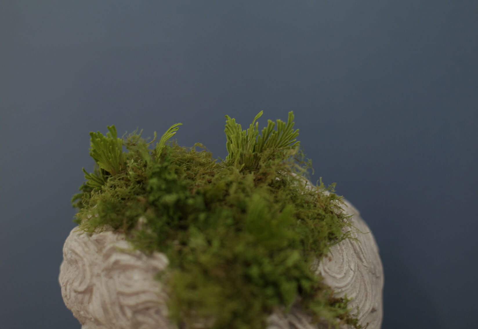 Roman head in waxed plaster