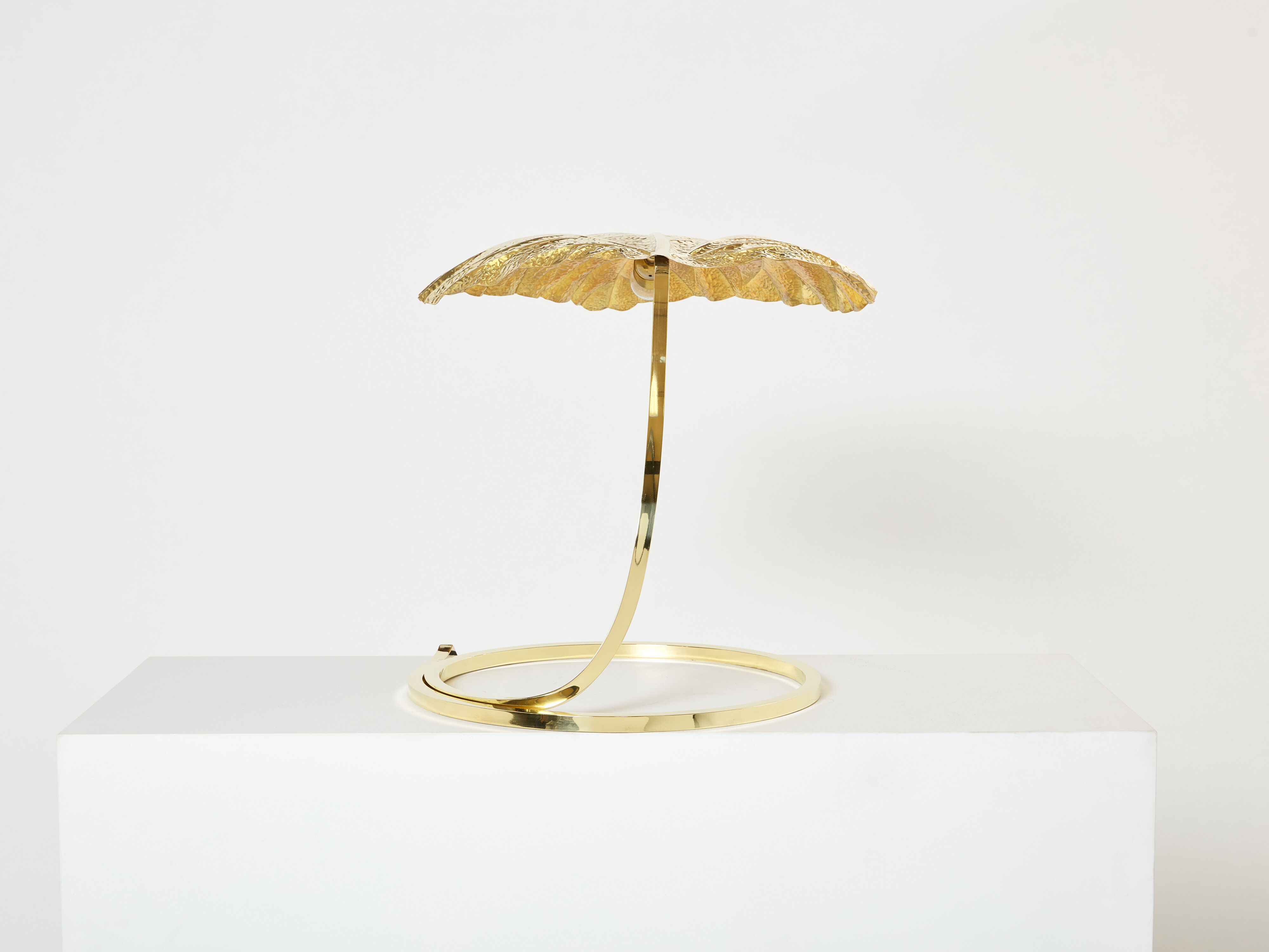 Rhubarb lamp in brass by Tommaso Barbi 1970