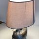 Vintage duck lamp