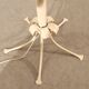 Hollywood Regency Cream White Palm Tree Floor Lamp  Attributed to Hans Kögl