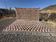 Very large Moroccan Berber rug in cream and burgundy 450x300 cm with a triangular pattern.