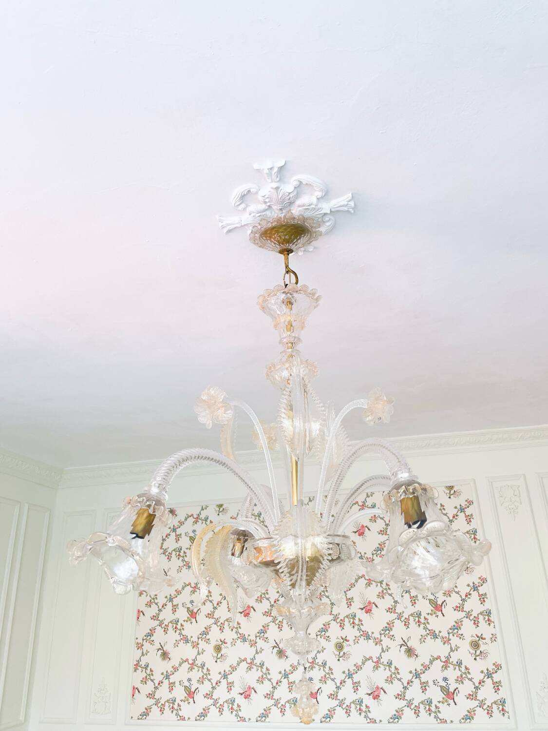 Grand lustre en verre de Murano – 5 bras tulipe