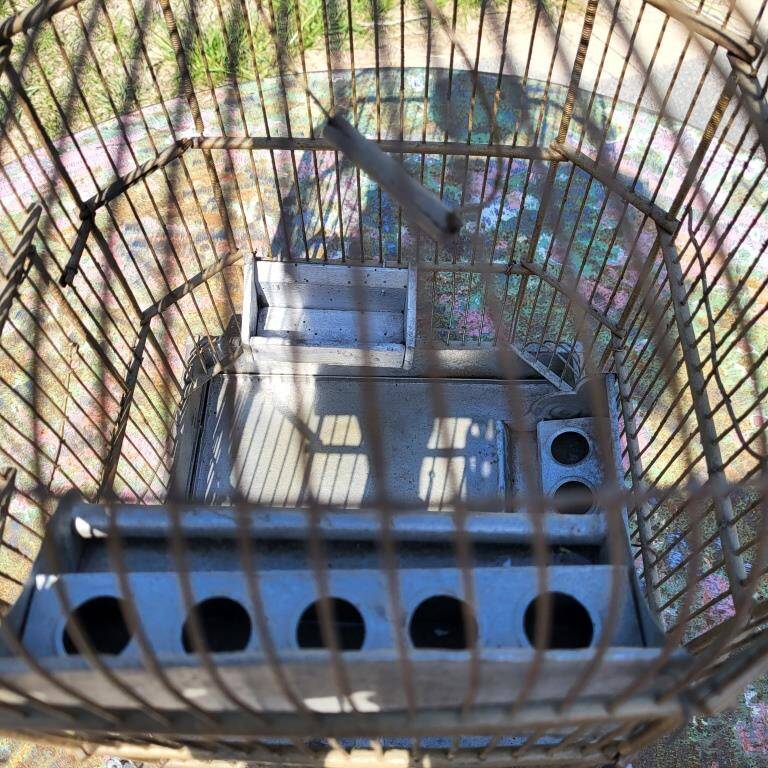 1900 Bird Cage Feeder and Drinker