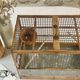 Birdcage